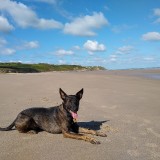 IMG_20190512_101759825