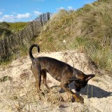 IMG_20190512_103334872