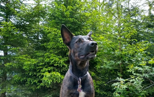IMG_20190525_104308887_HDR2.jpg