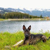 IMG_20190525_1325405202