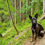 IMG_20190525_1456370402