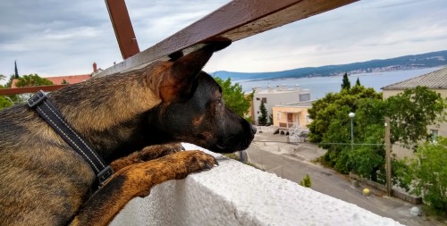 IMG_20190526_162535091_HDR2.jpg