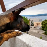 IMG_20190526_162535091_HDR2