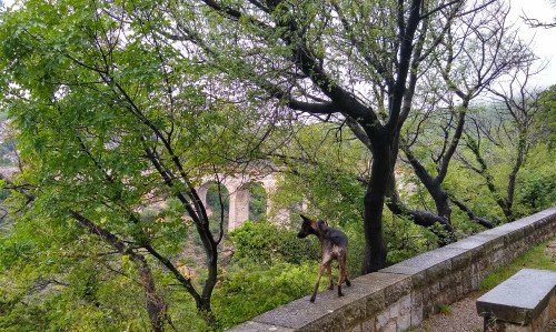 IMG_20190527_110506661_HDR2.jpg