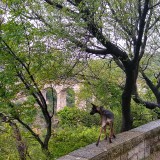 IMG_20190527_110506661_HDR2