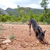 IMG_20190527_131908225_HDR
