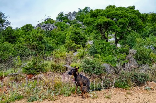 IMG_20190527_132143031_HDR2.jpg
