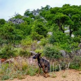 IMG_20190527_132143031_HDR2