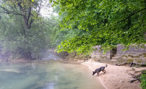 IMG_20190527_1932509522.jpg