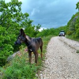 IMG_20190528_153058248_HDR