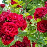 IMG_20190531_142552391_HDR