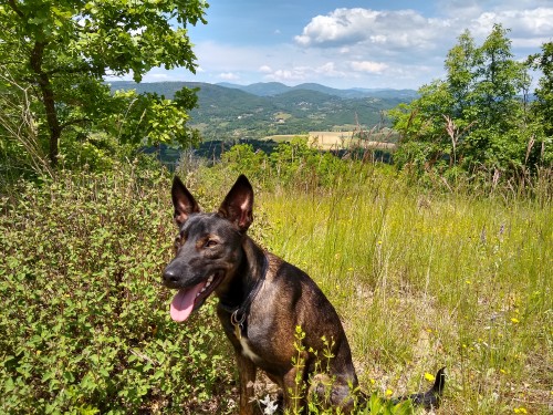IMG_20190601_123534752_HDR.jpg