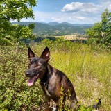 IMG_20190601_123534752_HDR