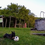 IMG_20190601_2051002662