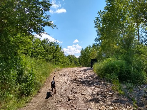 IMG_20190602_144613630_HDR.jpg