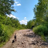 IMG_20190602_144613630_HDR