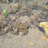 IMG_20190602_145411512