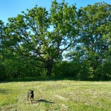 IMG_20190602_181409431_HDR