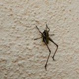 IMG_20190602_1830196512