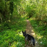 IMG_20190604_093916104