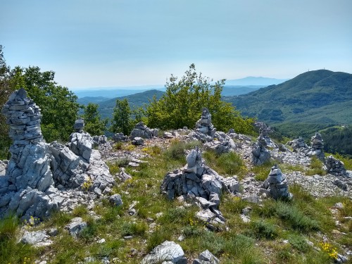 IMG_20190604_102536199_HDR.jpg