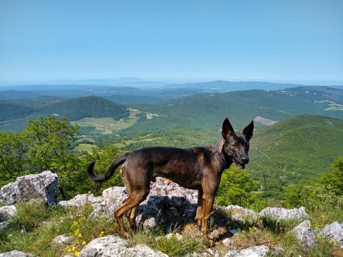 IMG_20190604_110955463_HDR.jpg