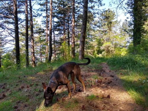 IMG_20190604_112030701_HDR.jpg