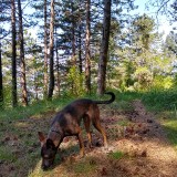 IMG_20190604_112030701_HDR