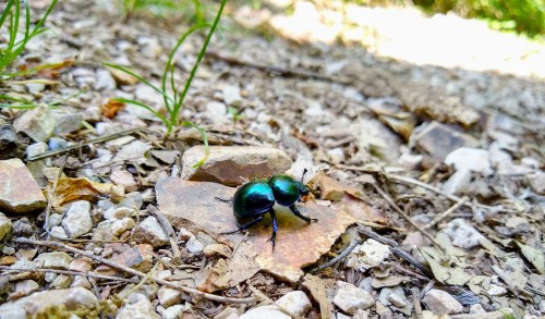 IMG_20190604_113843227_HDR2.jpg