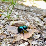 IMG_20190604_113843227_HDR2