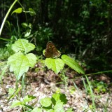 IMG_20190604_115735323