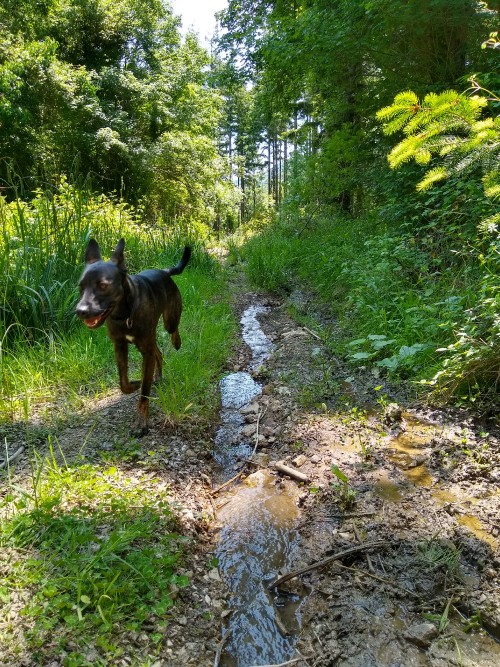 IMG_20190604_123002222_HDR.jpg