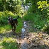IMG_20190604_123002222_HDR