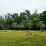 IMG_20190606_1227004862