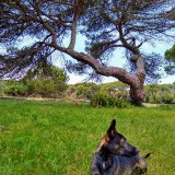 IMG_20190606_133757086_HDR2