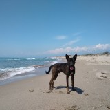 IMG_20190606_141734894
