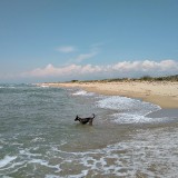 IMG_20190606_1419460422