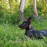 IMG_20190606_160913407