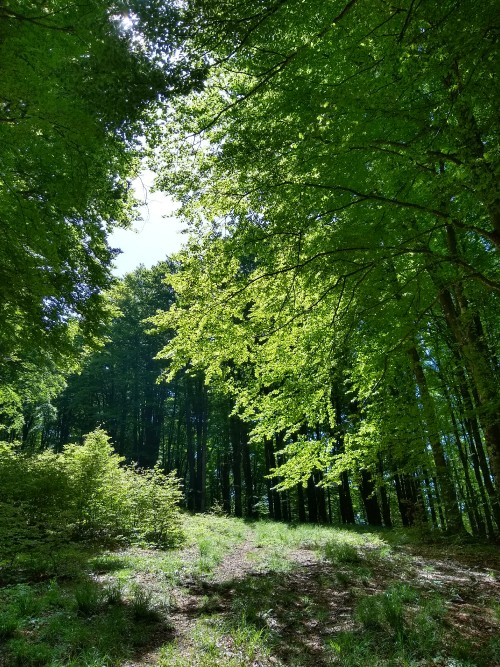 IMG_20190608_111622966_HDR.jpg