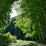 IMG_20190608_111622966_HDR