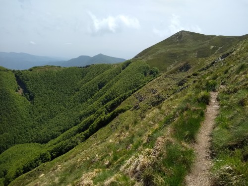 IMG_20190608_144418222.jpg