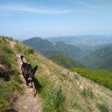 IMG_20190608_144451947