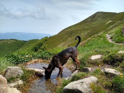 IMG_20190608_145626566_HDR.jpg