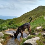 IMG_20190608_145626566_HDR