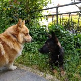 IMG_20190608_180520092