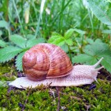IMG_20190610_1831219302