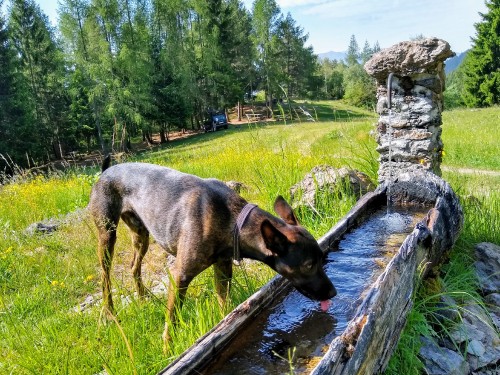 IMG_20190611_095150660_HDR3.jpg