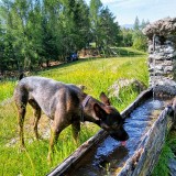 IMG_20190611_095150660_HDR3