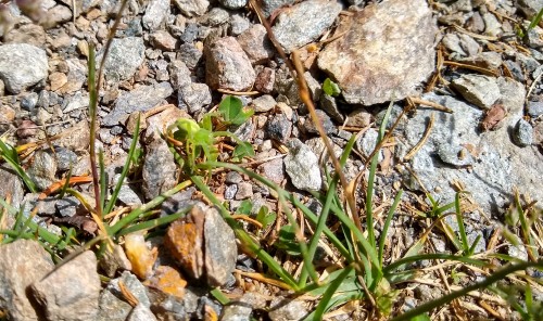 IMG_20190611_104036252_HDR2.jpg