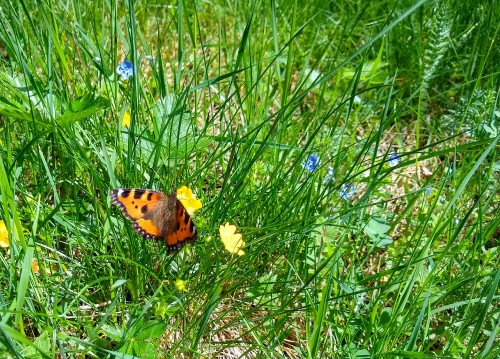 IMG_20190611_104304461_HDR2.jpg